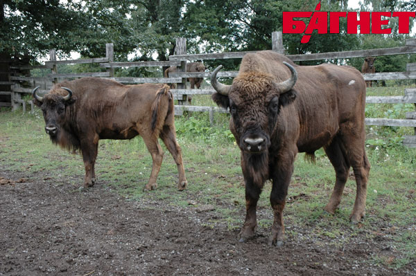 отдых в Словакии, курорты Словакии, рейтинг отелей, ресторанов и достопримечательностей Словакии