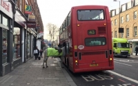 Полицейская лошадь в Лондоне попыталась сесть в автобус