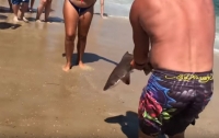 Отдыхающие спасли акулу, выбросившуюся на пляж (видео)