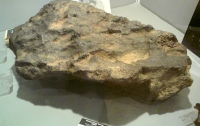 В Польше найден один из крупнейших метеоритов в Европе (ФОТО)