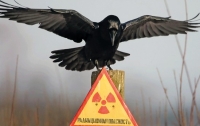 На Киевщине в доме у местного жителя обнаружили более 5 тонн радиоактивного металла