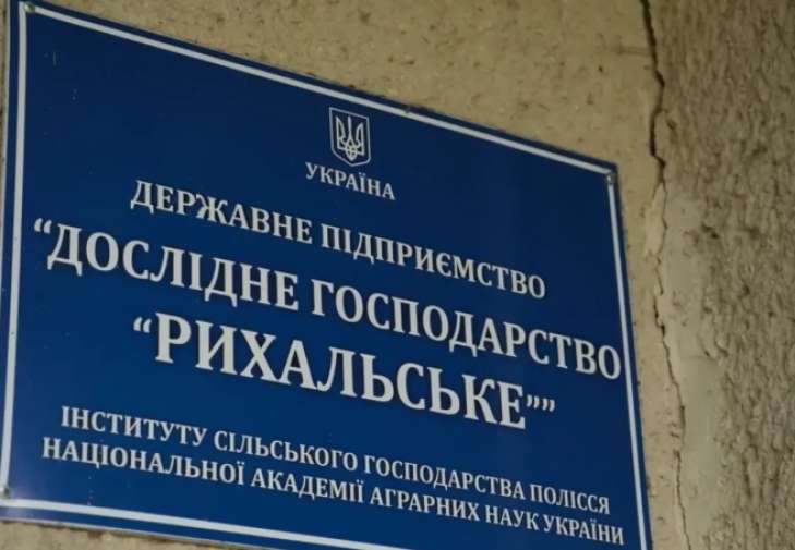 $40 мільйонів у кишеню лісової мафії? Що насправді коїться у Звягельському районі