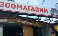 В Киеве бульдозером снесли зоомагазин: животные погибли