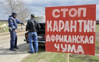 Свиноводы и чиновники  на Луганщине вновь заговорили об африканской чуме