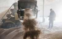 Оккупанты похитили около 900 тонн зерна в Луганской области