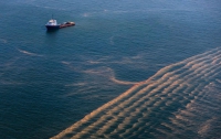 В Мексиканском заливе снова будут добывать нефть