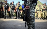 Украина за год нарастила боевой потенциал ВСУ
