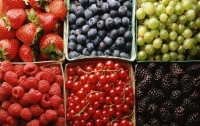 Урожай фруктов и ягод в этом году будет худшим за последние 40 лет