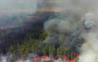 Дым видно даже с ЧАЭС: В Чернобыльской зоне вспыхнули торфяники