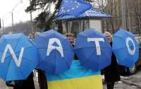 Поддержка вступления Украины в НАТО является самой высокой в истории, – опрос