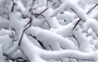Снег заблокировал 100 автомобилей на трассе Киев-Чоп