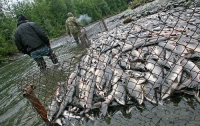 В Украине запрещен ввоз импортных рыболовных снастей