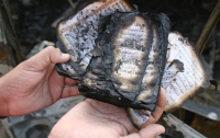 В США начали сжигать Коран
