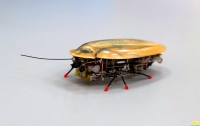 Ученые создали похожего на таракана робота-разведчика