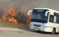 Крым пылает в пожарах: отдыхающие в панике (ФОТО)  