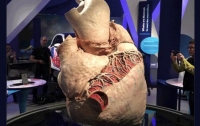 В канадском музее выставят самое большое сердце в мире (видео)