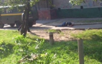 В Харькове были убиты сотрудники «Укрпочты»