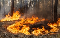 По Украине ожидается наивысший уровень пожароопасности