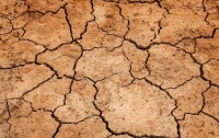 Австралию накрыла сильнейшая за полвека засуха