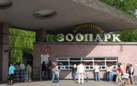 В киевском зоопарке появилось невиданное ранее животное (ФОТО)