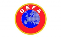 УЕФА: Мы никогда не требовали избавиться от бродячих собак к Евро-2012