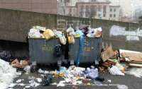 Мусорный коллапс: улицы Киева 