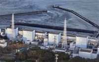 Радиоактивный мусор с Фукусимы-1 вывезут только к июлю
