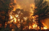 Жители Лос-Анджелеса в спешке покидают дома из-за лесных пожаров