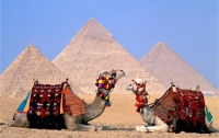 Египет одобряет идею исламского туризма