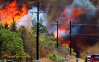 Техас охватили лесные пожары