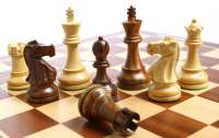 Всемирную шахматную олимпиаду перенесли из россии в Индию