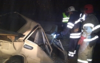 Под Киевом авто влетело в дерево: погибли двое жителей села Луговики