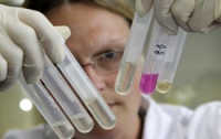 Осторожно: смертельный американский грипп может проникнуть в Украину