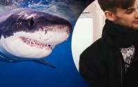 Кияни голосують за встановлення пам'ятника акулі, яка з'їла росіянина