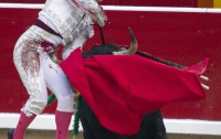 Бык успел вздернуть тореадора на рога – сегодня в Испании начался фестиваль энсьерро