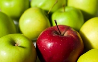 Яблоки могут заменить горы витаминов