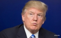 Трамп допускает удар по силам России в Сирии, - СМИ