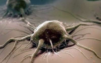 Ученые разрабатывают единый тест на «все» виды рака