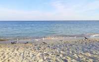 Всі пляжі Одеси визнали непридатними після підриву Каховської ГЕС