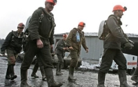 НПгС требует восстановить на шахте «Красный партизан» уволенного за наркоманию