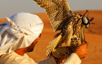 В пустыне Наджаф похищены 16 катарских охотников