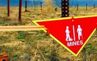 Украина не сможет выполнить обязательства по уничтожению противопехотных мин