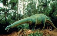 Каждый третий россиянин уверен: люди возникли в эпоху динозавров