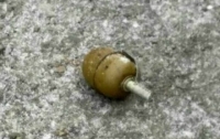 Боевую гранату обнаружили возле почтового отделения в Киеве