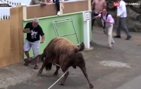 Разъяренный бык напал на прохожего в Португалии (видео)