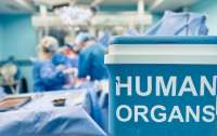 В Украине стремительно развивается трансплантология: МОЗ называет основные проблемы