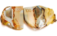 Конфуз в мире денег: канадские пластиковые доллары плавятся на солнцепеке