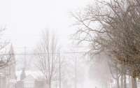 По меньшей мере 57 человек погибли из-за снежной бури в США, – NBC News
