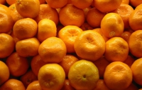 В Одессе выбирали мух из мандаринов