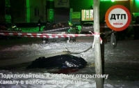 В Киеве фонарный столб убил человека